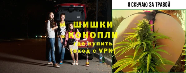прущие крисы Козельск