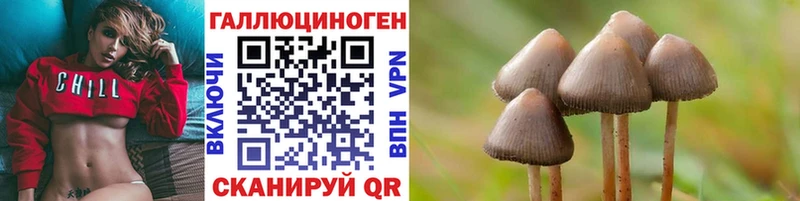 Купить закладки  Тверь  Псилоцибиновые грибы GOLDEN TEACHER 